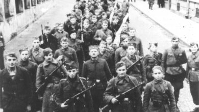 Бојанић: СРЕМСКИ ФРОНТ, страдања Српске омладине... и прихватање усташког џелата за брата