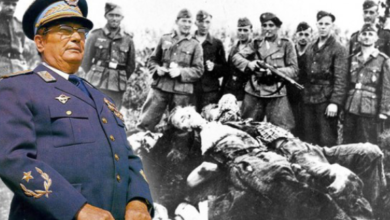 Тито сакрио истину о злочинима у Јасеновцу и геноциду над Србима