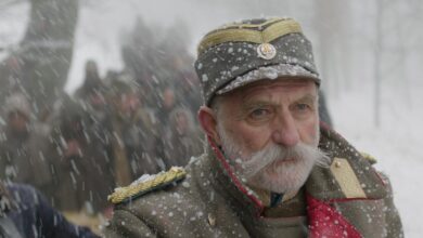 Бојанић... О филму Краљ Петар I... остварење дирљивије и од Титаника