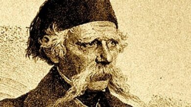 РЕФОРМА СРПСКОГ ЈЕЗИКА ВУКА С. КАРАЏИЋА И ПОЛИТИЧКЕ ПОСЛЕДИЦЕ *
