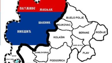 Никад више 1878: Покрет за слободу Старе Херцеговине