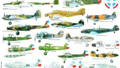 ЗАШТО СРБИ НЕ УЧЕ О СВОЈИМ ХЕРОЈИМА: Краљевски пилоти оборили 90 немачких ловаца