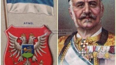 Маркуш: Постојећи државни симболи Црне Горе су дрско и неуко фалсификовање