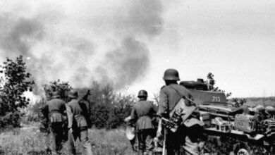 ОДГОВОР СРПСКОГ ИСТОРИЧАРА НЕМАЧКОМ АМБАСАДОРУ: Три пута је немачка војска пустошила Србију и чинила злочине а сада нам држи лекције о геноциду …