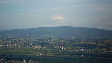 СРПСКА КАНДИЛА НА КОСОВУ : Чичавица