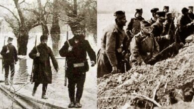 Бојанић: Српска страдања о којима се мало зна... сирочад и инвалиди након Великог рата