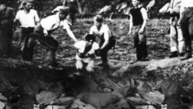 Амерички професор: Да се истина о страдању од усташа није скривала, НАТО никад не би бомбардовао Србију