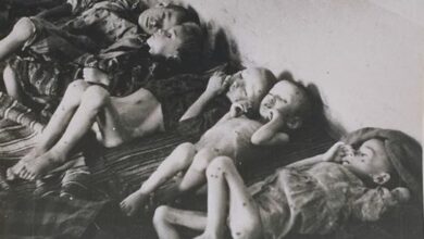Због односа са Хрватском, Србија не „таласа“ о Јасеновцу!?