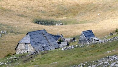 ВОЈИСЛАВ МИСТОВИЋ: Како одговорити на крађу наше историје у Црној Гори?