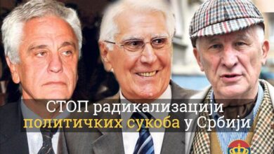 Краљевина нам је потребнија него икада