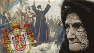 Да ли знате ко је Баба Вишња?