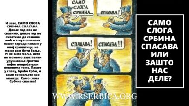 САМО СЛОГА СРБИНА СПАСАВА ИЛИ ЗАШТО НАС ДЕЛЕ?