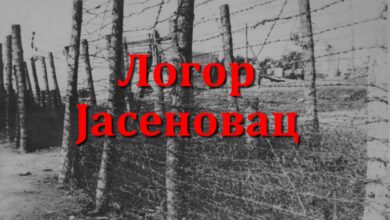Јасеновац – Некрополис Балкана (Видео)