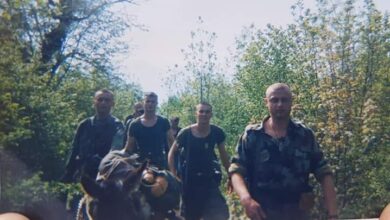 “НИСУ БИЛИ ОСЕТЉИВИ КАО КОЊИ!“ На Паштрику су ове животиње биле од највеће помоћи