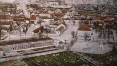 Министарство просвете Црне Горе 1911: Гимназији на Цетињу потребна два наставника за СРПСКИ језик и књижевност као главни предмет