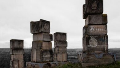 Владимир Бурсаћ: КОРАК КА ИСТИНИ О ГАРАВИЦАМА