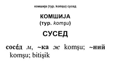 Словенски сусједи и српске комшије
