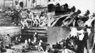 Свештеник Стеван Стефановић: Јасеновац, геноцид над Србима 1941 – 1945. (први део)