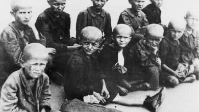 Бојанић: Хрватски историчар Лозо заборавио да припада народу који је једини у Европи имао логоре за децу