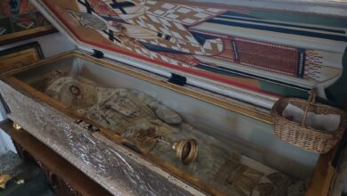 Бојанић: ИМА И ДРУГИХ НЕЗВАНИЧНИХ ИЗВОРА КОЈИ ТВРДЕ ДА СВЕТИ САВА НИЈЕ СПАЉЕН (видео)