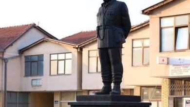 Бојанић: Коме и зашто смета постављање Дражиног споненика у Београду?